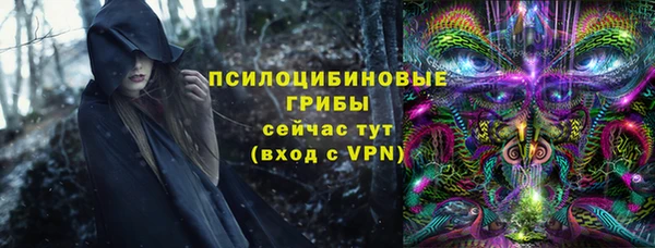 спиды Арсеньев