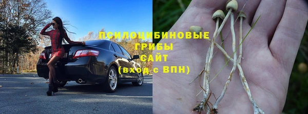 спиды Арсеньев